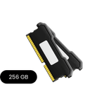 256 GB RAM